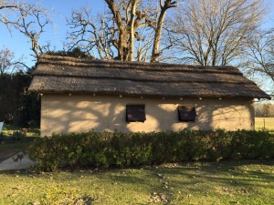 Réplica de la Primera Capilla en Zelaya5